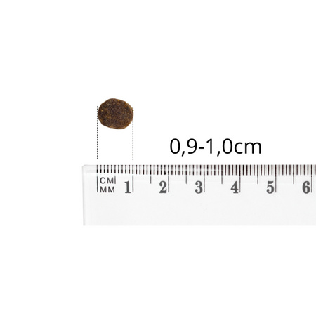 Baltica Adult Dziczyzna z Ryżem XS/S 9kg Hipoalergiczna Sucha Karma Dla Psów Miniaturowych i Małych Ras