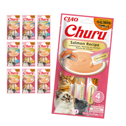 Inaba Cat Churu Salmon Recipe 40x14g Kremowy Przysmak Dla Kota Pasta Mix 4 Smaków