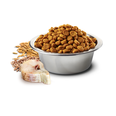 Farmina N&D Cat Ocean Cod Spelt Oats Orange 1,5kg Sucha Karma z Dorszem Dla Kota