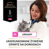 Purina Pro Plan Veterinary Diets UR Urinary Mokra Karma Dla Kota Z Łososiem 10x85g Przeciw Kamieniom Struwitowym