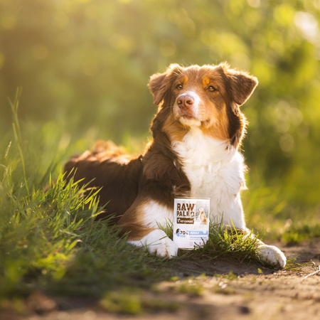 Raw Paleo Adult Monoprotein 800g Mokra Karma Dla Psa z Dorszem