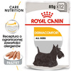 Royal Canin CCN Dermacomfort 24x85g Karma Mokra Pasztet Dla Psów Dorosłych O Wrażliwej Skórze Skłonnej Do Podrażnień