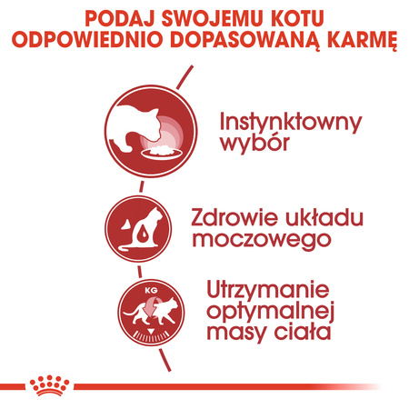 Royal Canin Instinctive FHN 6x85g Karma Mokra W Galaretce Dla Kotów Dorosłych Wybrednych