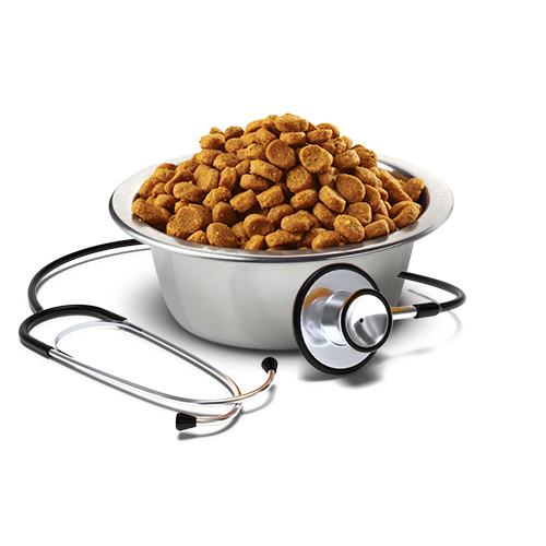 Farmina Vet Life Dog Intestinal Ultracare Dietetyczna Sucha Karma Dla Psów