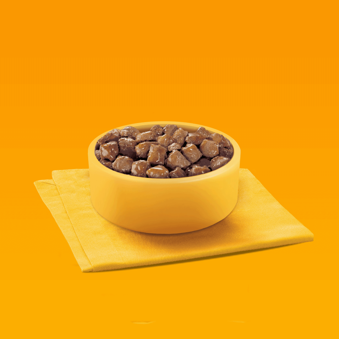 Pedigree Adult Vitality Mokra Karma Dla Dorosłych Psów Mix Smaków W Sosie