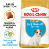Royal Canin BHN Jack Russell Terrier Puppy 3kg Karma Sucha Dla Szczeniąt Do 10 Miesiąca Rasy Jack Russel Terrier