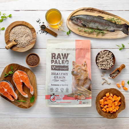 Raw Paleo Healthy Grain Adult Salmon Barley 2kg Sucha Karma z Łososiem Dla Psów Dorosłych
