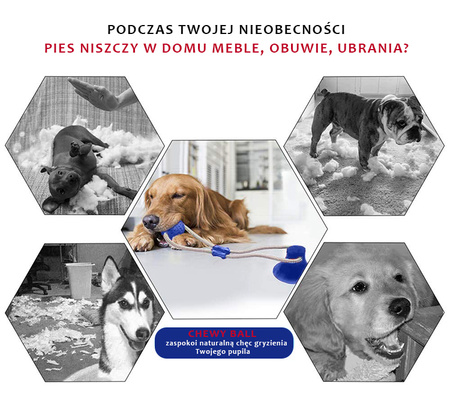 Zabawka gryzak dla psa CHEWY BALL, piłka na przyssawce kolor NIEBIESKI