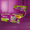 Whiskas Adult 40x85g Mix Smaków W Galaretce Mokra Karma Dla Kotów + Catsan Hygiene Plus 5L Żwirek Bentonitowy Niezbrylający