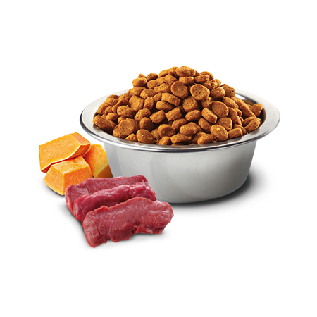 Farmina N&D Cat Pumpkin Venison & Apple 5kg Sucha Karma Dla Kota z Jeleniem Dynią i Jabłkiem