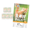 Vet Expert Raw Paleo Adult Turkey 6x100g Saszetka Karma Mokra z Indykiem Dla Kota