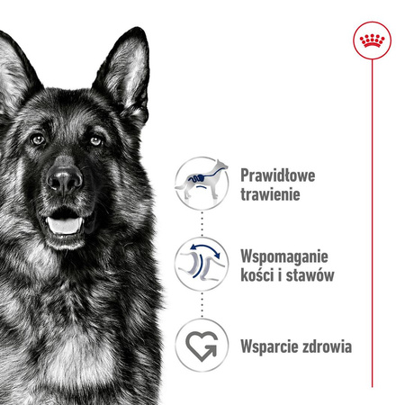 Royal Canin Adult Maxi BF 4kg Zbilansowana Sucha Karma Dla Psów Dużych Ras Do 5 Roku Życia