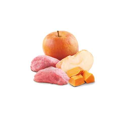 Farmina N&D Dog Boar Pumpkin Apple Mokra Karma Dla Psa Dzik Dynia Jabłko