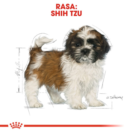 Royal Canin BHN Shih Tzu Puppy 500g Karma Sucha Dla Szczeniąt Do 10 Miesiąca Rasy Shih Tzu