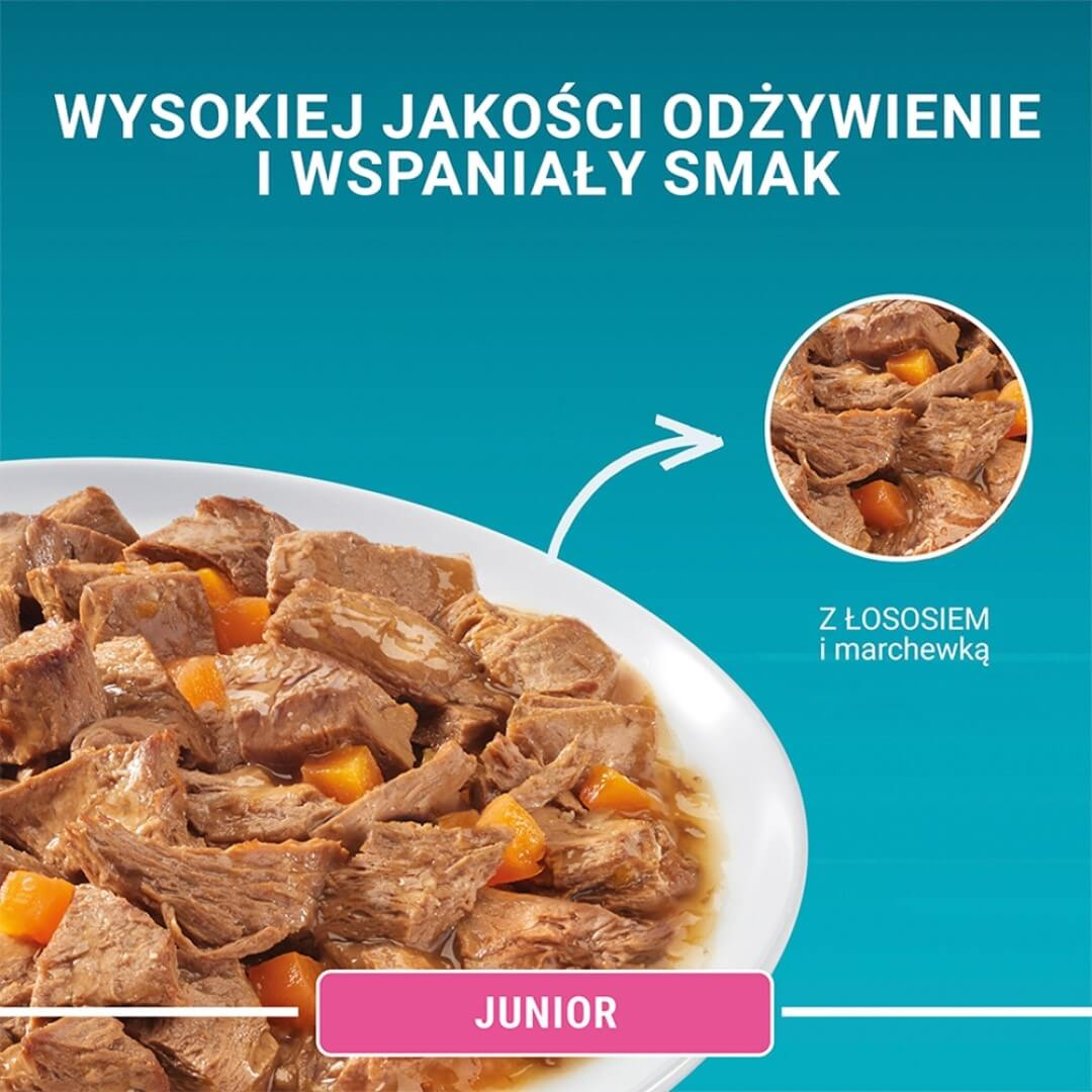 Purina One Adult Mokra Karma Dla Kociąt