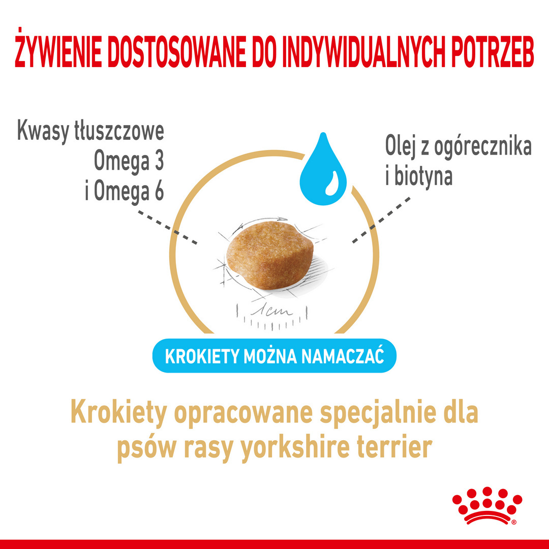 Karma Sucha Dla Dojrzałych Psów Rasy Yorkshire Terrier Powyżej 8 Roku Życia