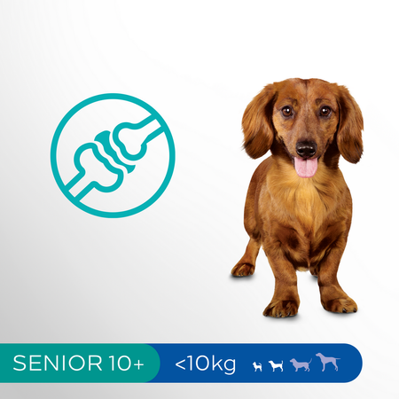 PERFECT FIT Sucha Karma Dla Psa Seniora Małej Rasy z Kurczakiem 7x825g