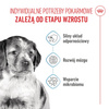Royal Canin Shn Medium Puppy 4kg Karma Sucha Dla Szczeniąt Od 2 Do 12 Miesiąca Ras Średnich