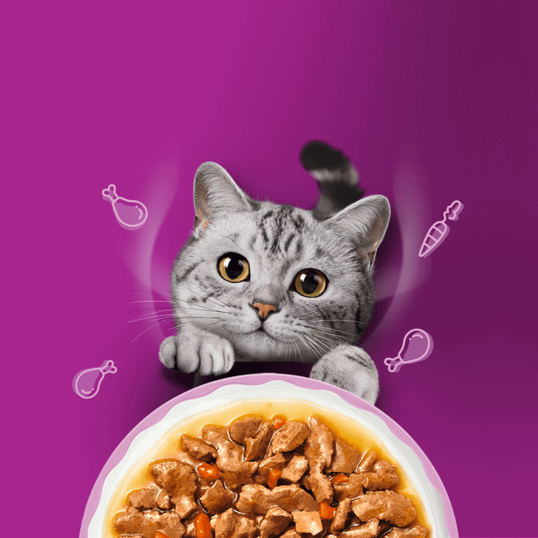 Whiskas Adult Aromatyczna Mieszanka