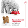 Royal Canin Adult Mini Sucha Karma Dla Psów Małych Ras 4kg