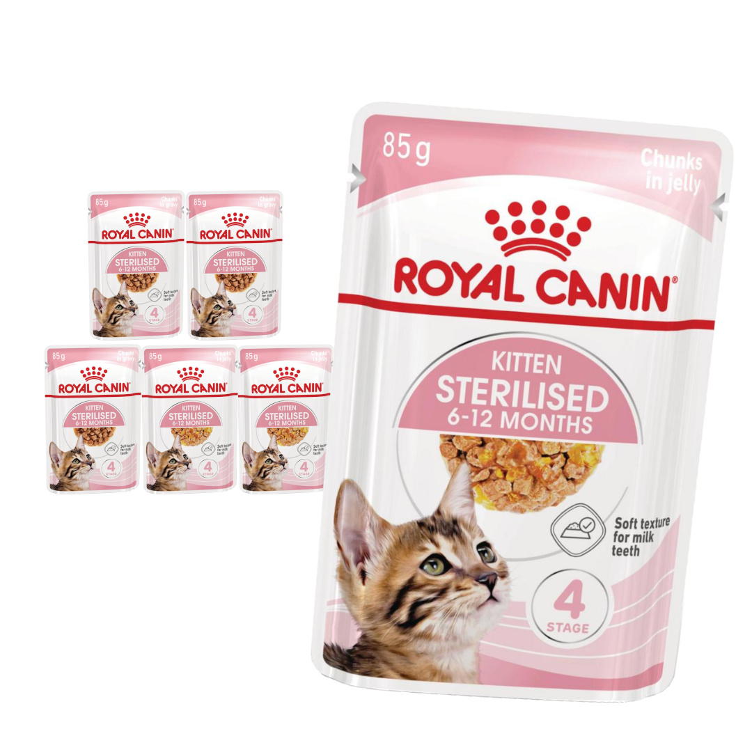 Royal Canin Kitten Sterilised W Galaretce i Sosie Karma Mokra Dla Kociąt