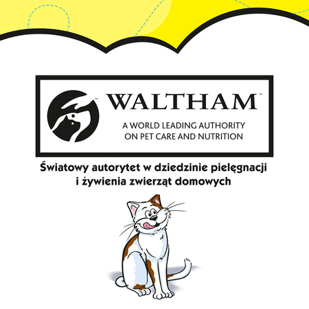 DREAMIES 60g - przysmak dla kota z pysznym serem