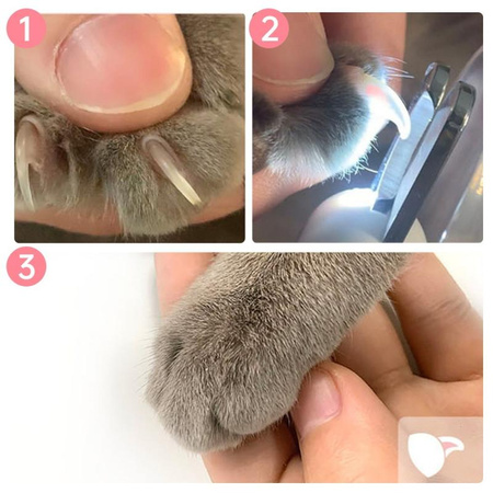 Obcinacz do pazurów dla psów kotów pupili z lampką LED - Niebiesko-Zielony