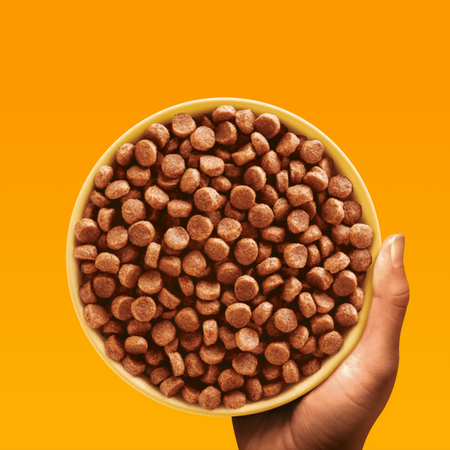 Pedigree Junior Professional Nutrition Z Drobiem I Warzywami 12kg + 12kg Sucha Karma Dla Szczeniąt Średnich I Dużych Ras