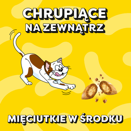 Dreamies z Pysznym Serem Mega Pack 180g Przysmaki dla kota