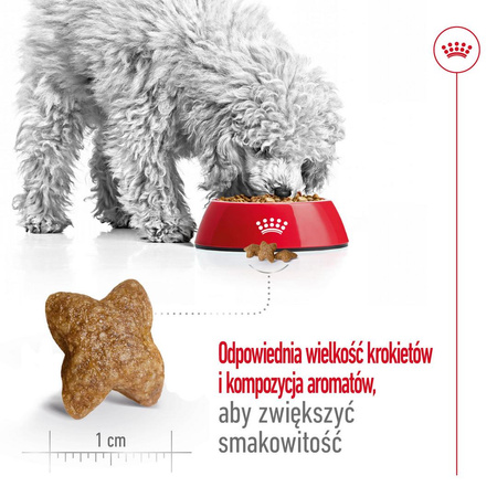 Royal Canin Adult Mini Sucha Karma Dla Psów Małych Ras 4kg