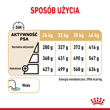 Royal Canin BHN German Shepherd Adult 5+ 12kg Karma Sucha Dla Dorosłych Psów Rasy Owczarek Niemiecki Powyżej 5 Roku Życia