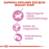 Royal Canin Kitten 6x85g Pełnoporcjowa Mokra Karma Dla Kociąt Do 12 Miesiąca Życia Pasztet