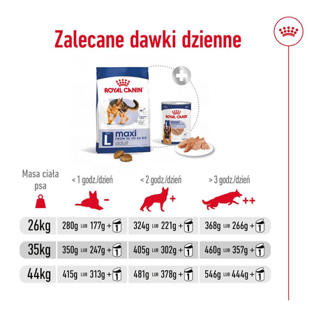 Royal Canin Adult Maxi BF 4kg Zbilansowana Sucha Karma Dla Psów Dużych Ras Do 5 Roku Życia