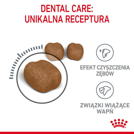 Royal Canin Dental 3,5kg Karma Sucha Dla Kotów Dorosłych Redukująca Odkładanie Kamienia Nazębnego