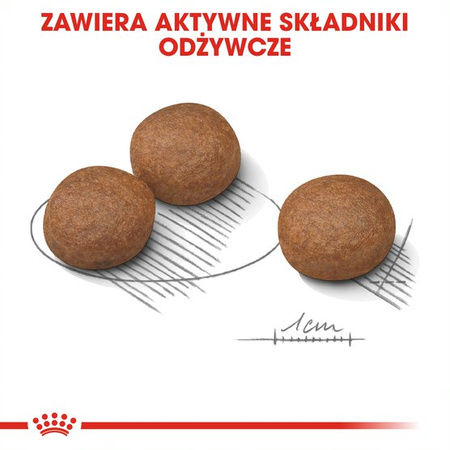 Royal Canin CCN Medium Digestive Care 3kg Karma Sucha Dla Psów Ras Średnich O Wrażliwym Przewodzie Pokarmowym