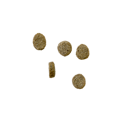 Bozita Robur Adult Maintenance Mini 27/17 - 950g