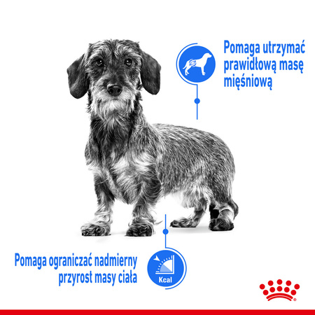 ROYAL CANIN Light Weight Care Karma Mokra Dla Psów z Tendencją Do Nadwagi Pasztet 85g