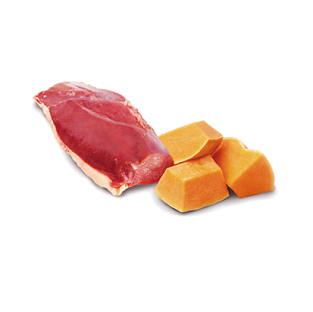 Farmina N&D Dog Duck Pumpkin 285g Mokra Karma Dla Dorosłych Psów Z Kaczką I Dynią