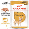 Royal Canin BHN Chihuahua Adult 24x85g Karma Mokra Pasztet Dla Psów Dorosłych Rasy Chihuahua