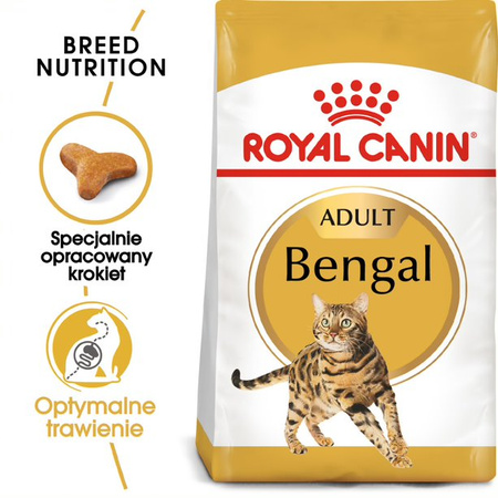 Royal Canin FBN Bengal Adult 10kg Karma Sucha Dla Kotów Dorosłych Rasy Bengalskiej Powyżej 12 Miesiąca Życia