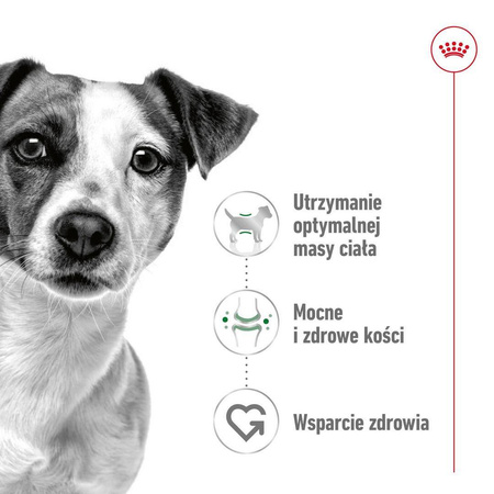 Royal Canin Mini Adult 800g Karma Sucha Dla Psów Dorosłych Ras Małych