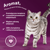 Whiskas Adult Aromatyczna Mieszanka Saszetki 80x85g Mokra Karma Pełnoporcjowa Dla Kota w Sosie