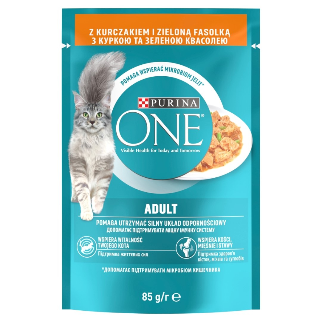 Purina One Adult