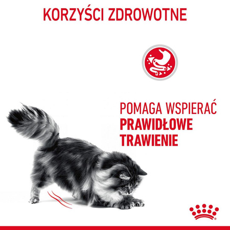 Royal Canin Digest Sensitive 6x85g Mokra Karma Dla Kotów Dorosłych W Sosie Na Wrażliwy Przewód Pokarmowy