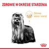 ROYAL CANIN Adult 8+ Yorkshire Terrier Sucha Karma Dla Yorka Seniora 2x500g