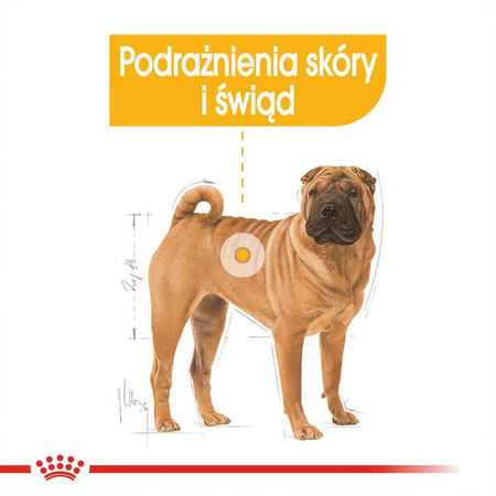 Royal Canin CCN Medium Dermacomfort 3kg Karma Sucha Dla Psów Dorosłych Ras Średnich O Wrażliwej Skórze Skłonnej Do Podrażnień