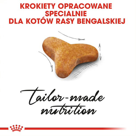 Royal Canin FBN Bengal Adult 10kg Karma Sucha Dla Kotów Dorosłych Rasy Bengalskiej Powyżej 12 Miesiąca Życia