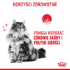 Royal Canin Hair & Skin 85g Mokra Karma Dla Kotów Dorosłych w Galaretce Zdrowa Skóra Piękna Sierść