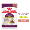 ROYAL CANIN Sensory Smell Gravy 85g Mokra Karma Dla Kotów Wybrednych