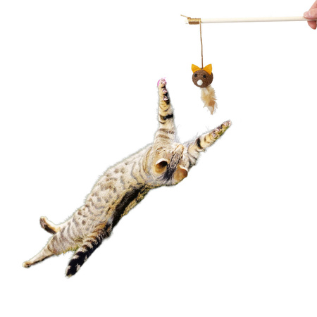 Zabawka Interaktywna Wędka Dla Kota Mysz Małą Brązowa 40cm